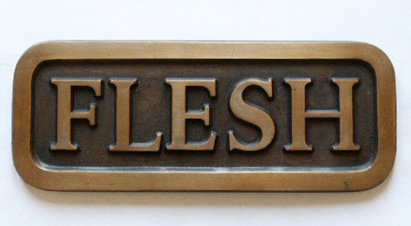 Bronze plaque, FLESH, by Stephen Kaltenbach